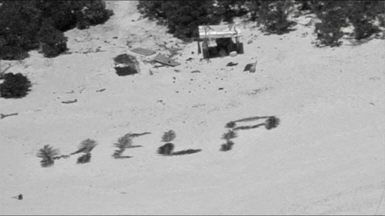 Help written with palm leaves on a beech.