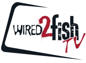 Wired2Fish logo